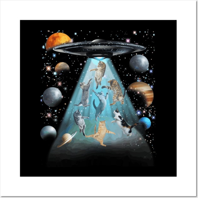 Crazy cats Flying in space Wall Art by luxury artista